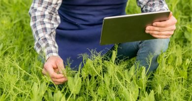 Pesquisa aponta aumento da digitalização do agronegócio