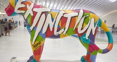 Jaguar Parade: mostra dedicada às onças-pintadas chega ao Rio de Janeiro em 2024