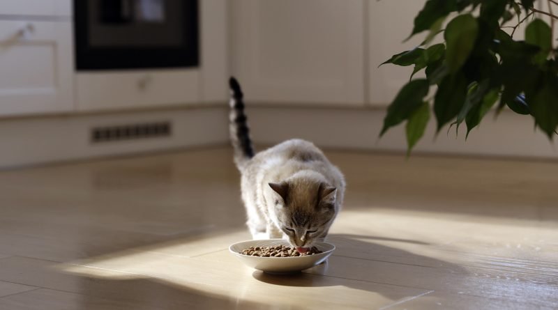 Hill's Pet destaca a importância da palatabilidade na alimentação de cães e gatos