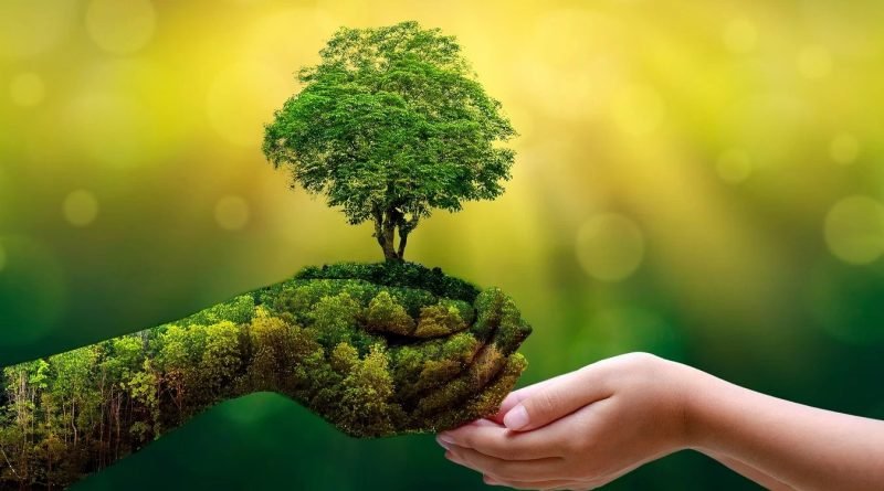 Ecoturismo brasileiro abrange sustentabilidade e responsabilidade ambiental