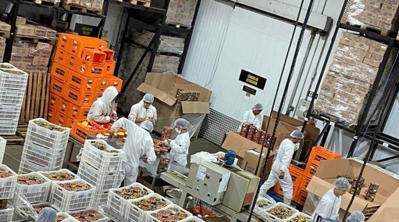 Queijos Regina aposta em crescimento de 20%