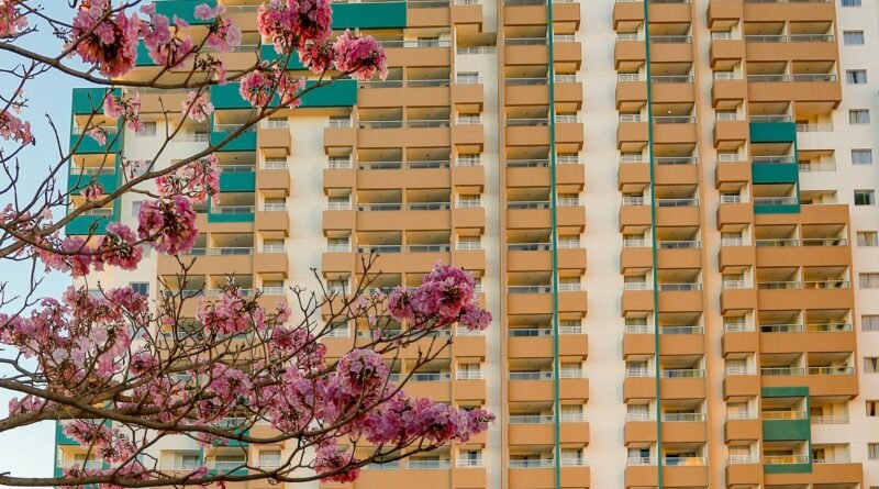 Como Olímpia pretende atrair 6 milhões de visitantes em 2024