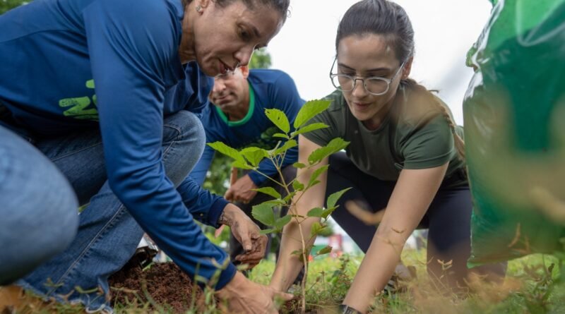 Nova Acrópole celebra o Dia da Terra com ações voluntárias