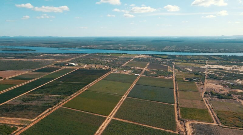 Zanlorenzi recebe R$39 mi para inovação com o apoio da Macke