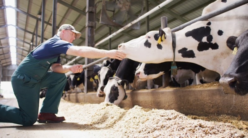 Elanco prevê crescimento global entre 2% e 3% para 2024