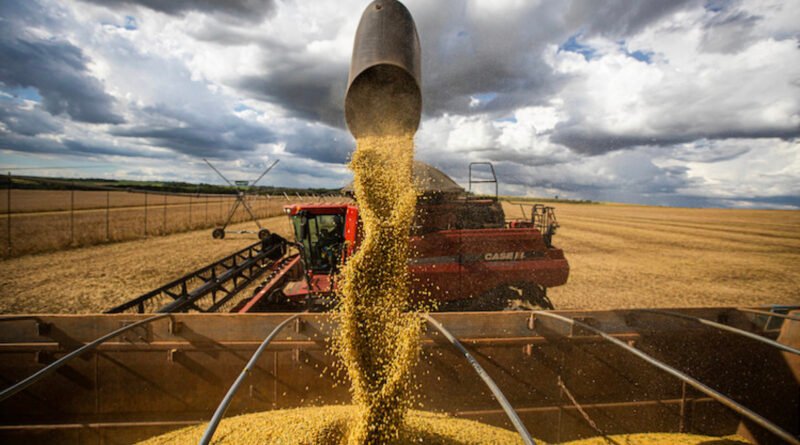 Falta de clareza na lei antidesmatamento europeia preocupa agroexportadores