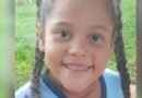 Criança de 8 anos é picada por aranha e morre em hospital