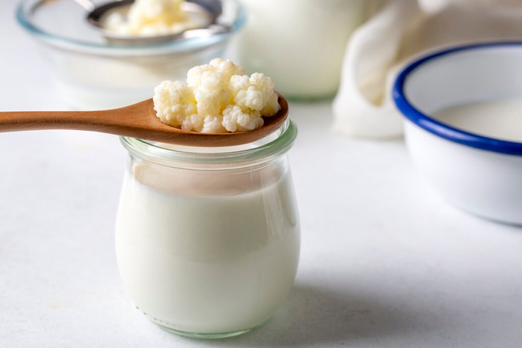 Probióticos ajudam na saúde intestinal e perda de peso