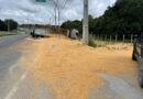 Veja Fotos: Carreta carregada de milho tomba no Tarumã e atrapalha trânsito