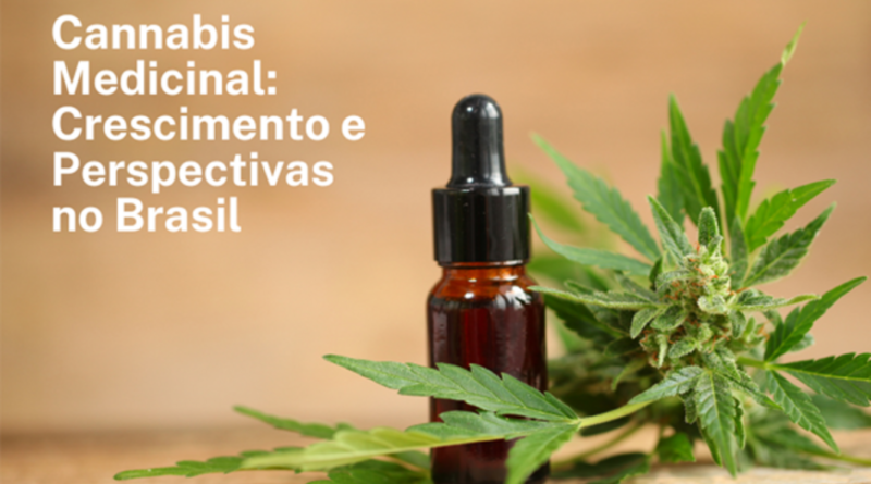 Cannabis medicinal demonstra crescimento otimista no Brasil