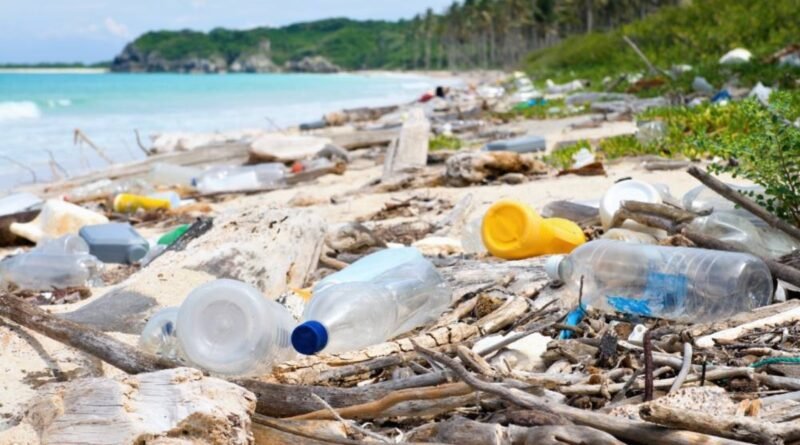 Turista Consciente: movimento quer reduzir lixo nas praias