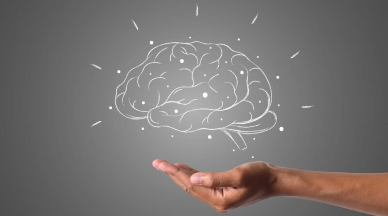 Conexão entre inteligência e o mundo externo impulsiona aprendizado e inovação