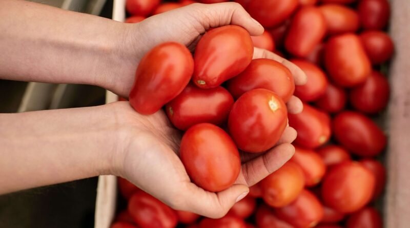 Fugini explica tecnologia do molho de tomate sem conservante