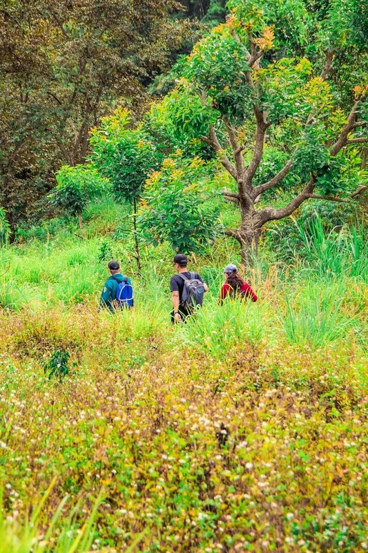 Turismo regenerativo coloca a natureza no centro desta atividade