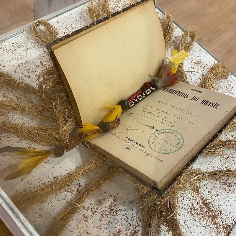 Exposição Emilio Goeldi e as Aves Amazônicas chega em São José dos Campos