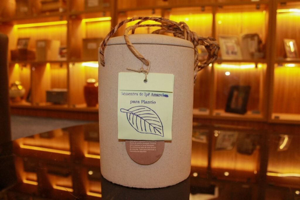 Funerais verdes ganham espaço e prometem menos impacto