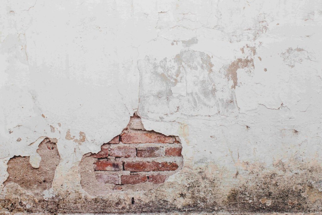 Dia Nacional de Prevenção da Alergia: Vedacit dá dicas para evitar mofo