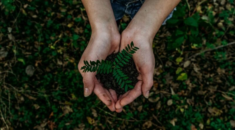 Jornada de Inovação Bancorbrás Social premia iniciativas de turismo sustentável