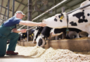 Elanco supera expectativas no 1º trimestre de 2025