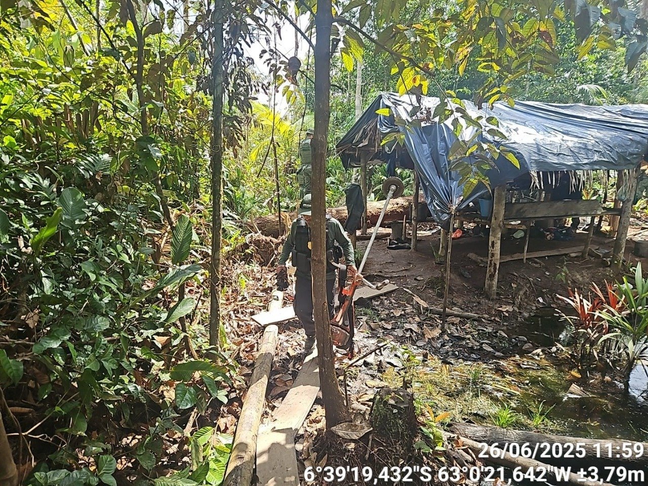 Operação Tamoiotatá V: Ipaam aplica mais de R$ 930 mil em multas por criação ilegal de gado na Floresta de Tapauá