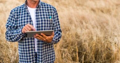 Pagamento rural exige atenção à segurança jurídica