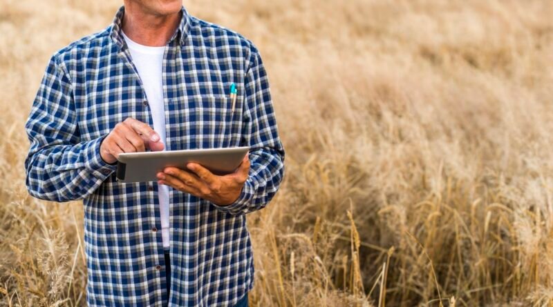 Pagamento rural exige atenção à segurança jurídica