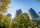 Grant Thornton orienta sobre adaptação ao IFRS S1 e S2