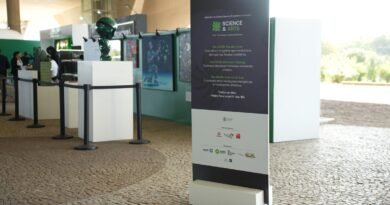 Science & Arts: espaço imersivo uniu arte e ciência