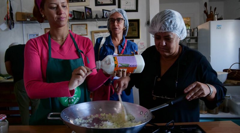 Instituto Aupaba inicia projeto inédito que cria roteiro de turismo regenerativo