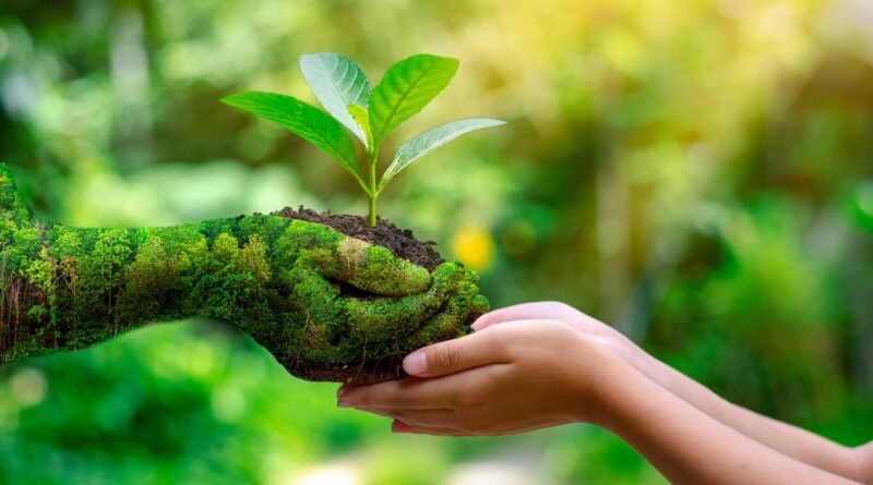 Turismo regenerativo incentiva a conservação ambiental