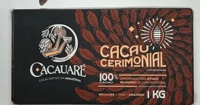 Cacau utilizado em cerimônias na Amazônia destaca saberes tradicionais e protagonismo feminino