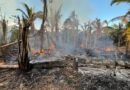 Em ação conjunta, MPAM realiza ronda ambiental e flagra incêndio criminoso em Manicoré