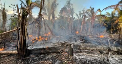 Em ação conjunta, MPAM realiza ronda ambiental e flagra incêndio criminoso em Manicoré