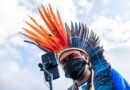 Rumo à COP30: oficina gratuita aborda uso estratégico de redes sociais na defesa da Amazônia