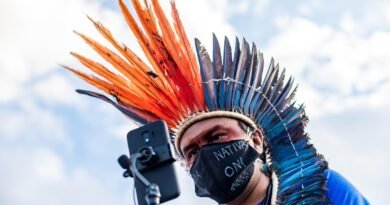 Rumo à COP30: oficina gratuita aborda uso estratégico de redes sociais na defesa da Amazônia