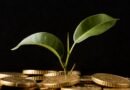 Créditos de carbono poderão quitar impostos no agronegócio