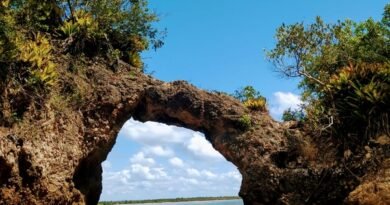Turismo redefine paisagem urbana e relações econômicas em Ilhéus