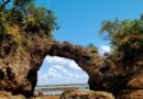 Ilhéus reúne experiências que mostram o sul da Bahia em movimento