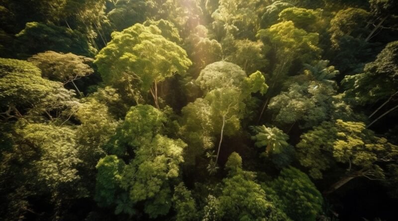 Belém sedia seminário sobre turismo regenerativo na Amazônia