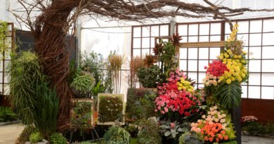 Festa de Flores e Morangos de Atibaia acontece em setembro