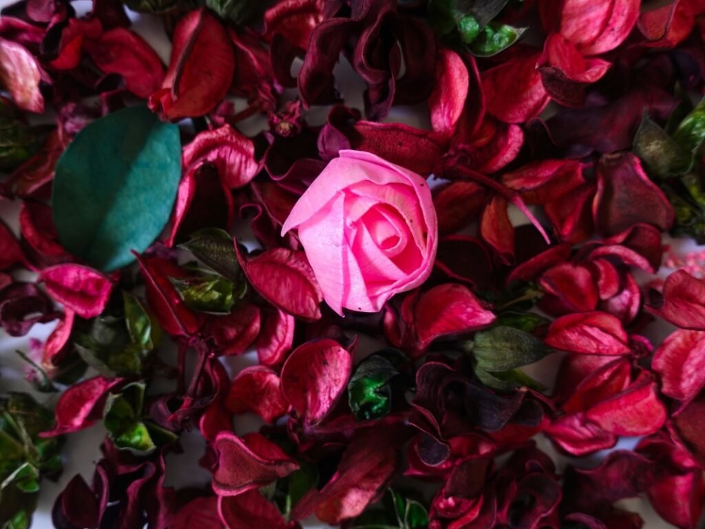 Ação do caminhão da Giuliana Flores repercute entre consumidores e celebridades