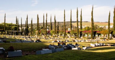 Grupo Zelo amplia geolocalização de jazigos em Finados