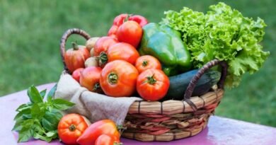 Orgânicos ganham destaque com a chegada da primavera