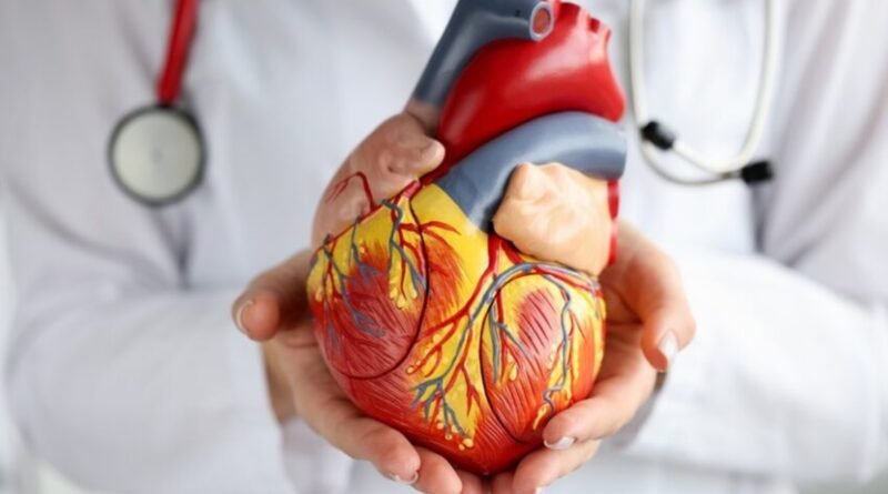 Doenças cardiovasculares lideram mortes no Brasil