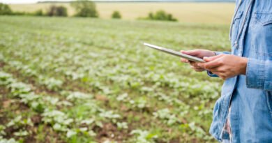 Agro em transformação: tecnologias devem redefinir o campo
