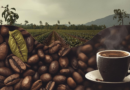 Mês do Café 2025 discute preços, consumo e inovação no setor