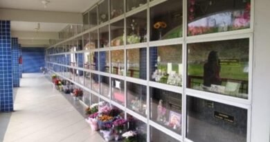 Setor funerário inova, cresce e tem foco sustentável