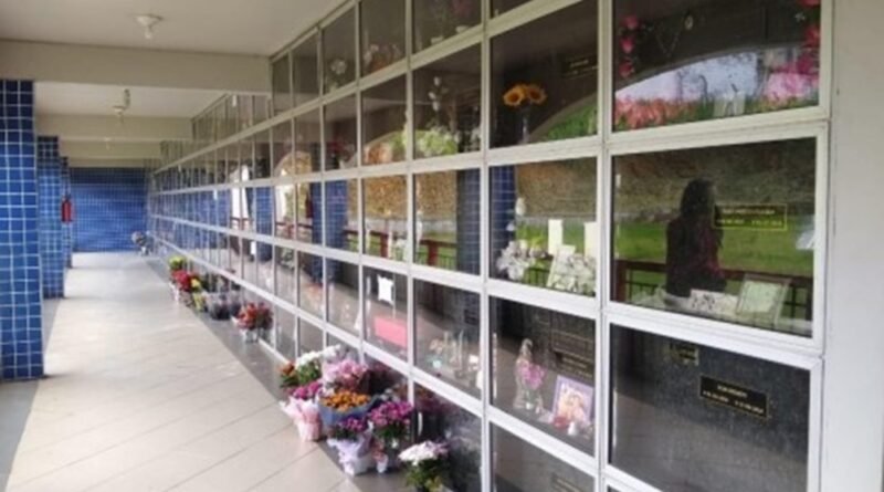 Setor funerário inova, cresce e tem foco sustentável