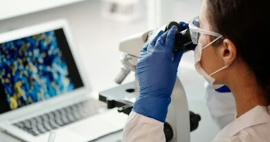 Cannabis medicinal apresenta avanço na medicina de precisão