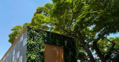 Grupo Maya promove acolhimento no Dia de Finados